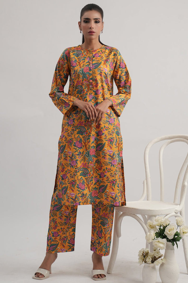 2 Pc Cambric Embroidered Stitched Suit - Prime Point Store