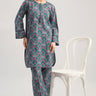 2 Pc Cambric Printed Stitched Suit - Prime Point Store