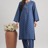 2 Pc Cambric Printed Stitched Suit - Prime Point Store