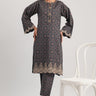 2 Pc Cambric Printed Stitched Suit - Prime Point Store