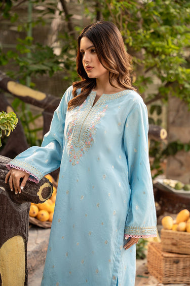 2 Pc Cotton Jacquard Embroidered Stitched Suit - Prime Point Store