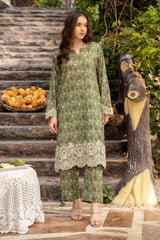 2 Pc Cotton Lawn Printed Stitched Suit - Prime Point Store