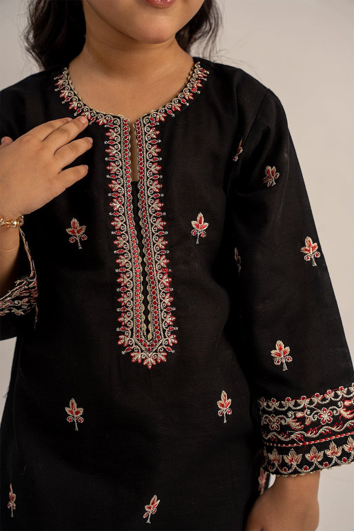 2 Pc Dyed Embroidered Khaddar Suit For Girl - Prime Point Store
