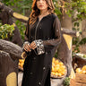 2 Pc Embroidered Chiffon Stitched Suit - Prime Point Store