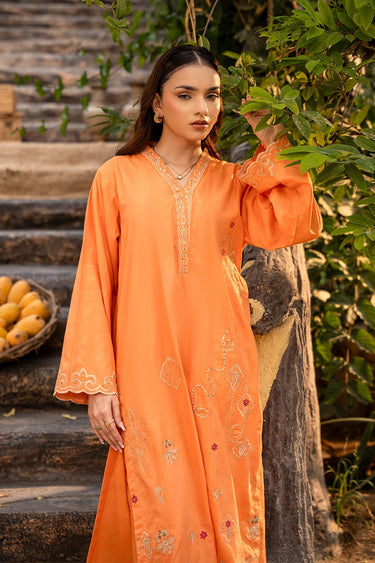 2 Pc Embroidered Jacquard Stitched Suit - Prime Point Store