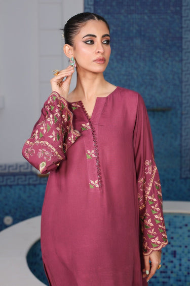 2 Pc Embroidered Karandi Stitched Suit - Prime Point Store