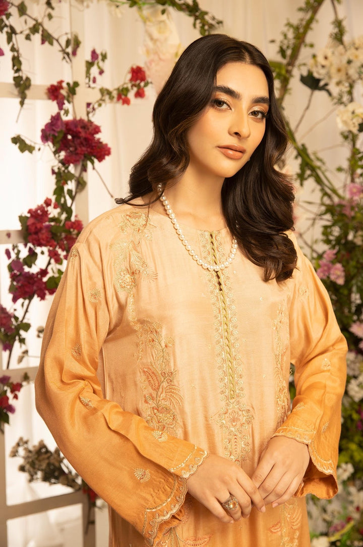 2 Pc Embroidered Raw Silk Luxury Stitched Suit - Prime Point Store