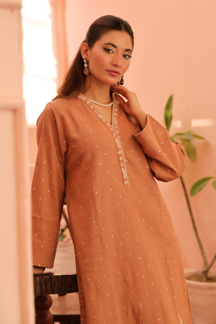 2 Pc Embroidered Viscose Luxury Stitched Suit - Prime Point Store