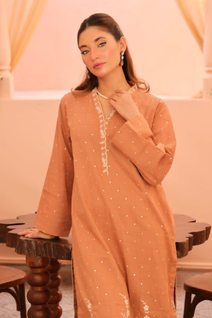 2 Pc Embroidered Viscose Luxury Stitched Suit - Prime Point Store