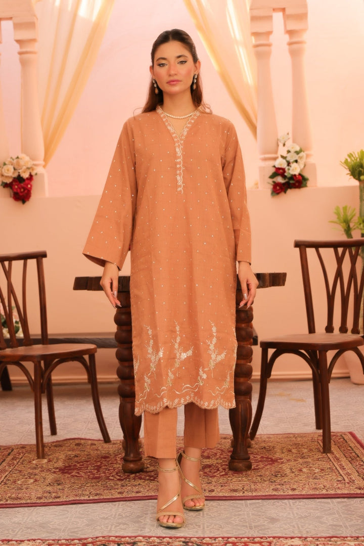 2 Pc Embroidered Viscose Luxury Stitched Suit - Prime Point Store