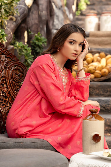 2 Pc Jacquard Embroidered Stitched Suit - Prime Point Store