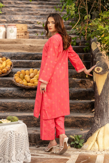 2 Pc Jacquard Embroidered Stitched Suit - Prime Point Store