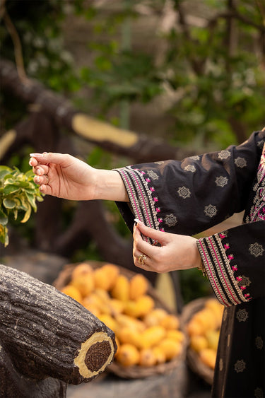 2 Pc Jacquard Embroidered Stitched Suit - Prime Point Store