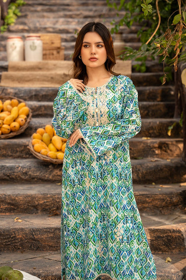 2 Pc Lawn Printed Stitched Suit - Prime Point Store