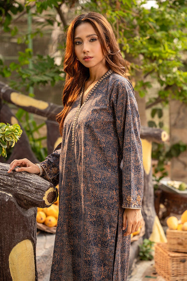 2 Pc Lawn Printed Stitched Suit - Prime Point Store