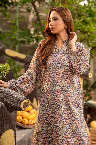 2 Pc Lawn Printed Stitched Suit - Prime Point Store