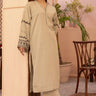 2 Pc Luxury Viscose Stitched Suit (Shirt & Trouser) - Prime Point Store