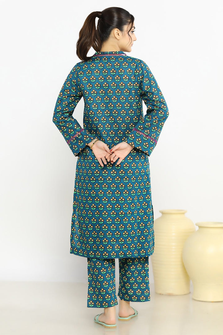 2 Pc Printed Khaddar Stitched Co - ords - Prime Point Store