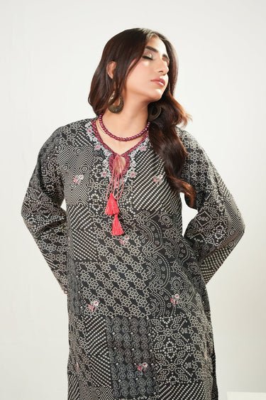 2 Piece - Embroidered Lawn Suit - Prime Point Store