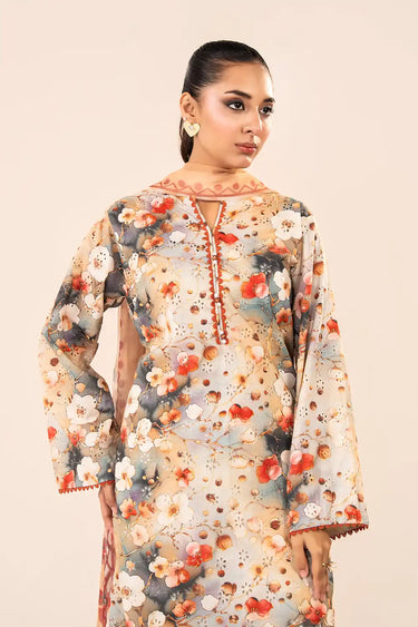 3 Piece - Printed Chikankari Suit