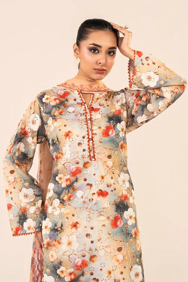 3 Piece - Printed Chikankari Suit