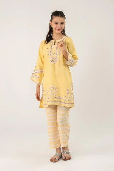 2 Piece - Embroidered Texture Suit