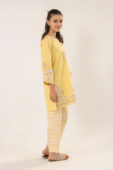 2 Piece - Embroidered Texture Suit