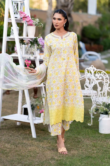 3 Piece - Embroidered Printkari Suit