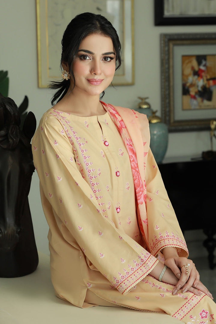 3 Pc Cambric Dyed Embroidered Stitched Suit - Prime Point Store