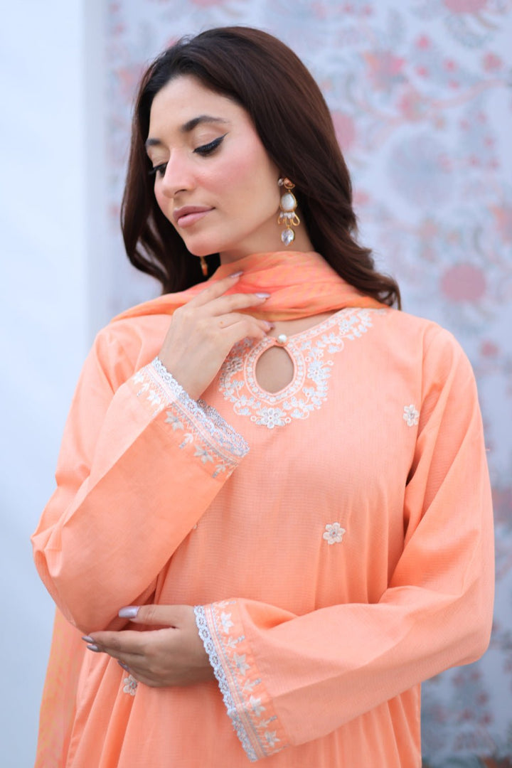 3 Pc Dobby Embroidered Luxury Stitched Suit - Prime Point Store