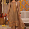 3 Pc Embroidered Zari Net Luxury Stitched Suit - Prime Point Store