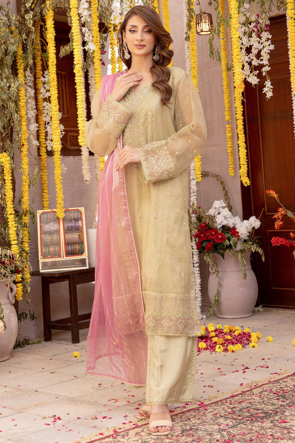 3 Pc Embroidered Zari Net Stitched Suit - Prime Point Store