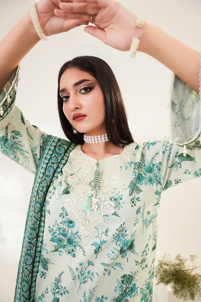 3 Piece - Embroidered Lawn Suit - Prime Point Store