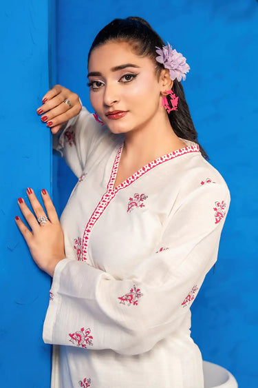 2 Piece - Embroidered Khaddar Suit