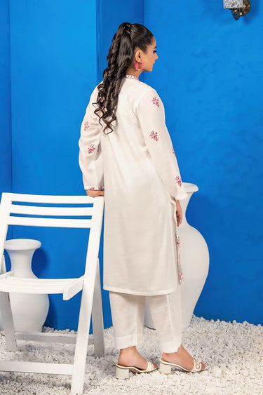 2 Piece - Embroidered Khaddar Suit