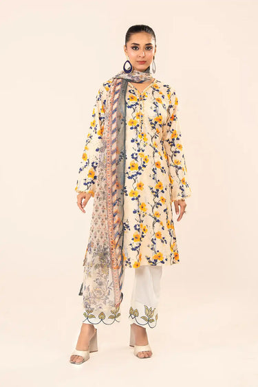 3 Piece - Printed Chikankari Suit