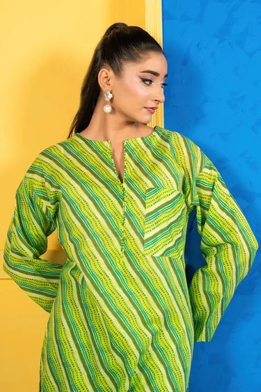2 Piece - Printed Khaddar Suit