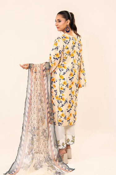 3 Piece - Printed Chikankari Suit