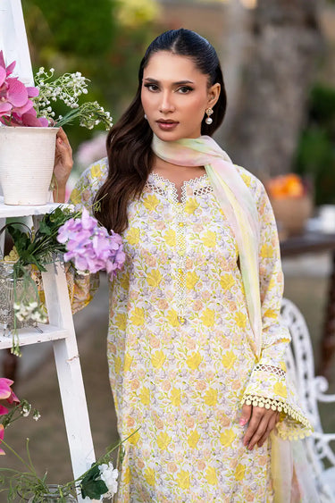 3 Piece - Embroidered Printkari Suit