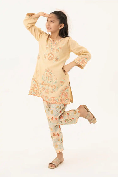 2 Piece - Embroidered Texture Suit