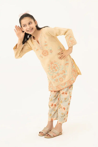 2 Piece - Embroidered Texture Suit