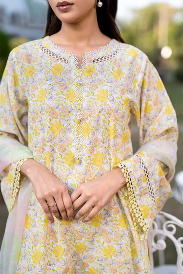 3 Piece - Embroidered Printkari Suit
