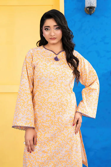 2 Piece - Printed Lawn Suit