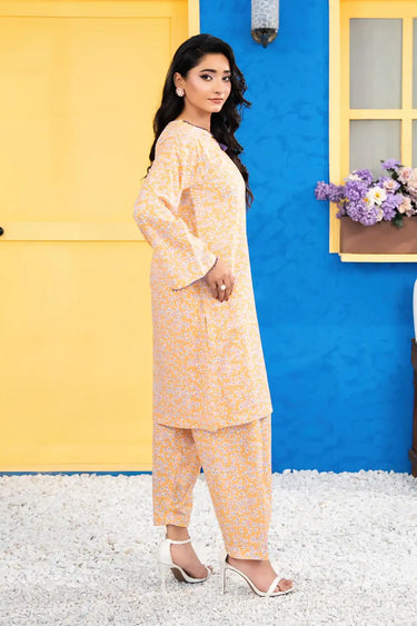 2 Piece - Printed Lawn Suit