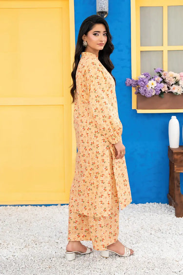 2 Piece - Printed Lawn Suit