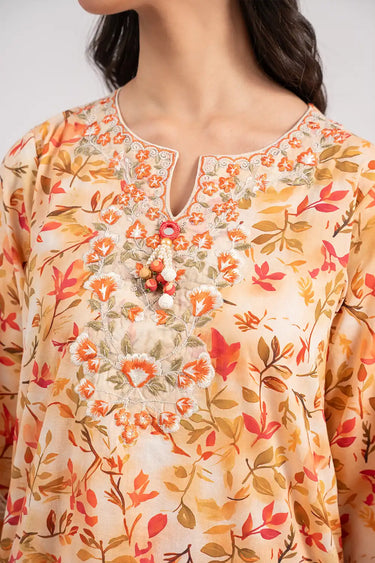 2 Piece - Embroidered Lawn Suit