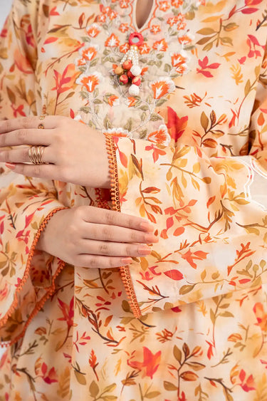 2 Piece - Embroidered Lawn Suit