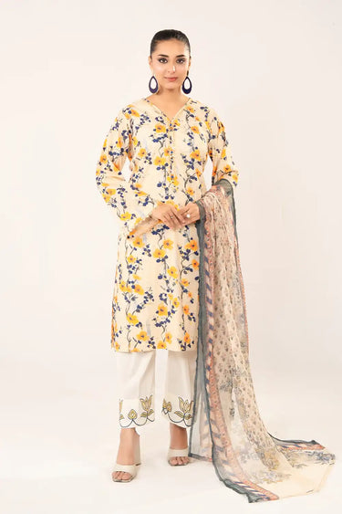3 Piece - Printed Chikankari Suit
