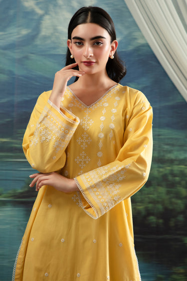 2 Piece - Embroidered Lawn Suit