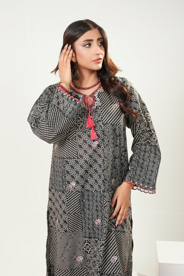 2 Piece - Embroidered Lawn Suit